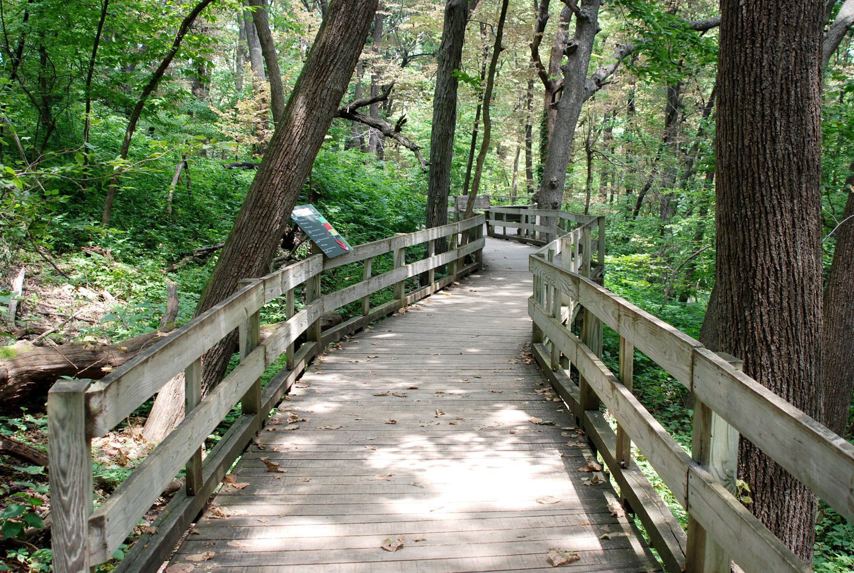 Get free passes to Fontenelle Forest